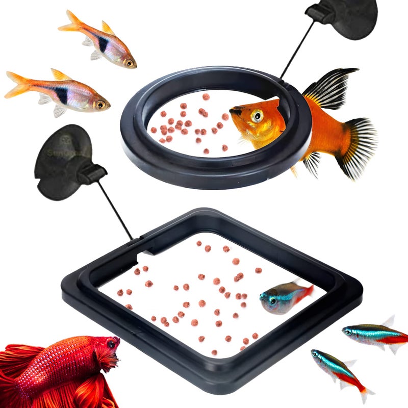 SunGrow 2 Betta Feeding Ring, Prevent Water Turbulence from Washing Food into Filter, Practical Round Floating Food, Suitable for Guppy, Goldfish and Other Small Fish - Image 1